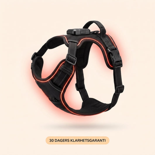 AktivSikt™ LED-hundesele