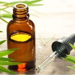 Tea Tree Oil