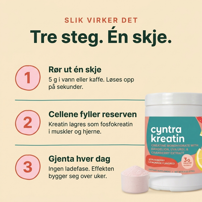 Cyntra kreatin