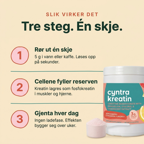 Cyntra kreatin
